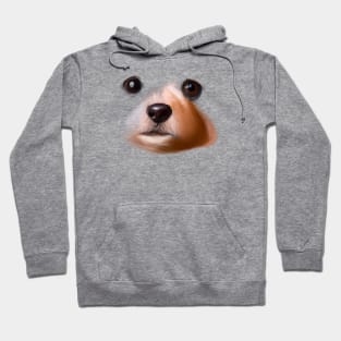 Cute Pomeranian Drawing Hoodie